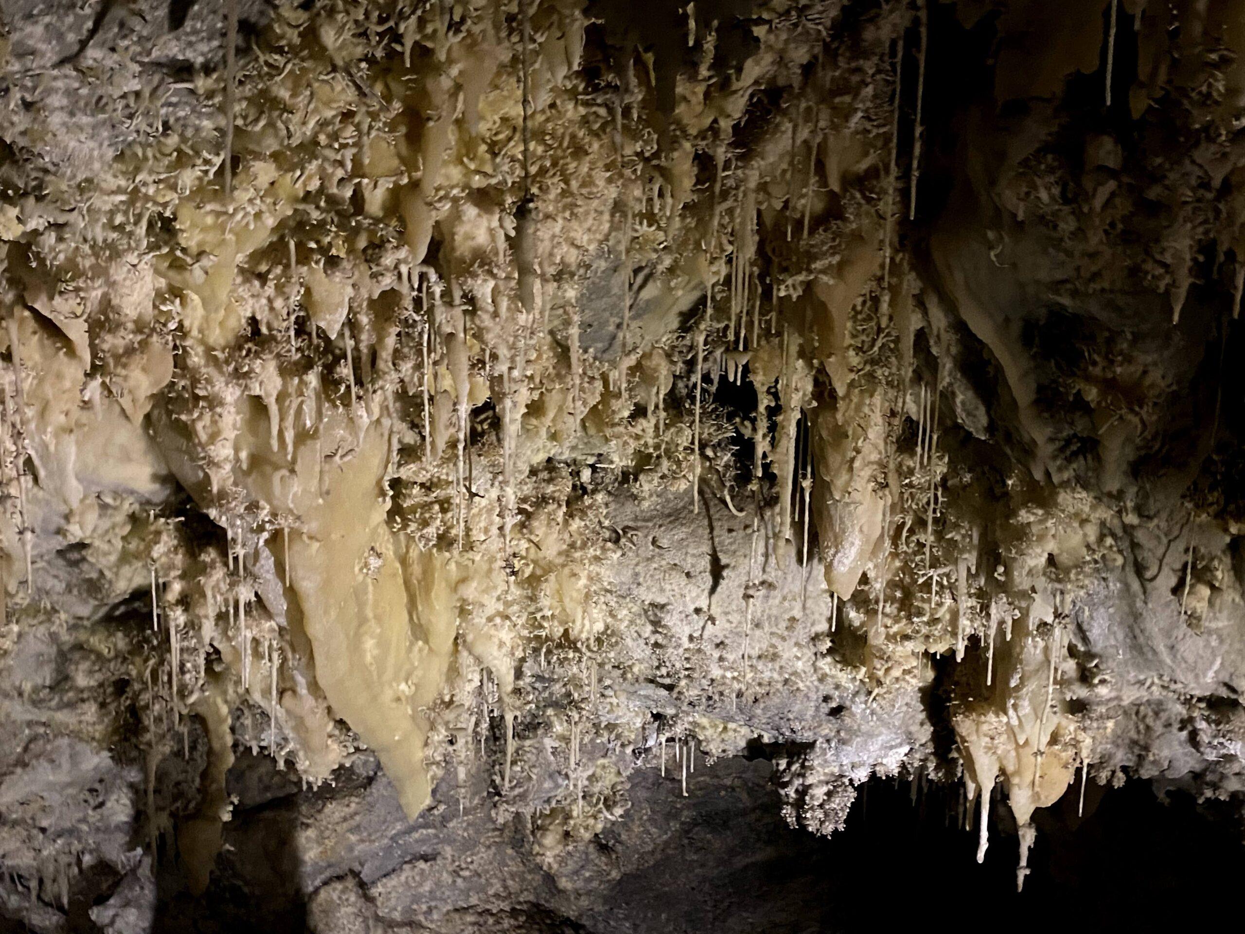 Timpanogos Cave