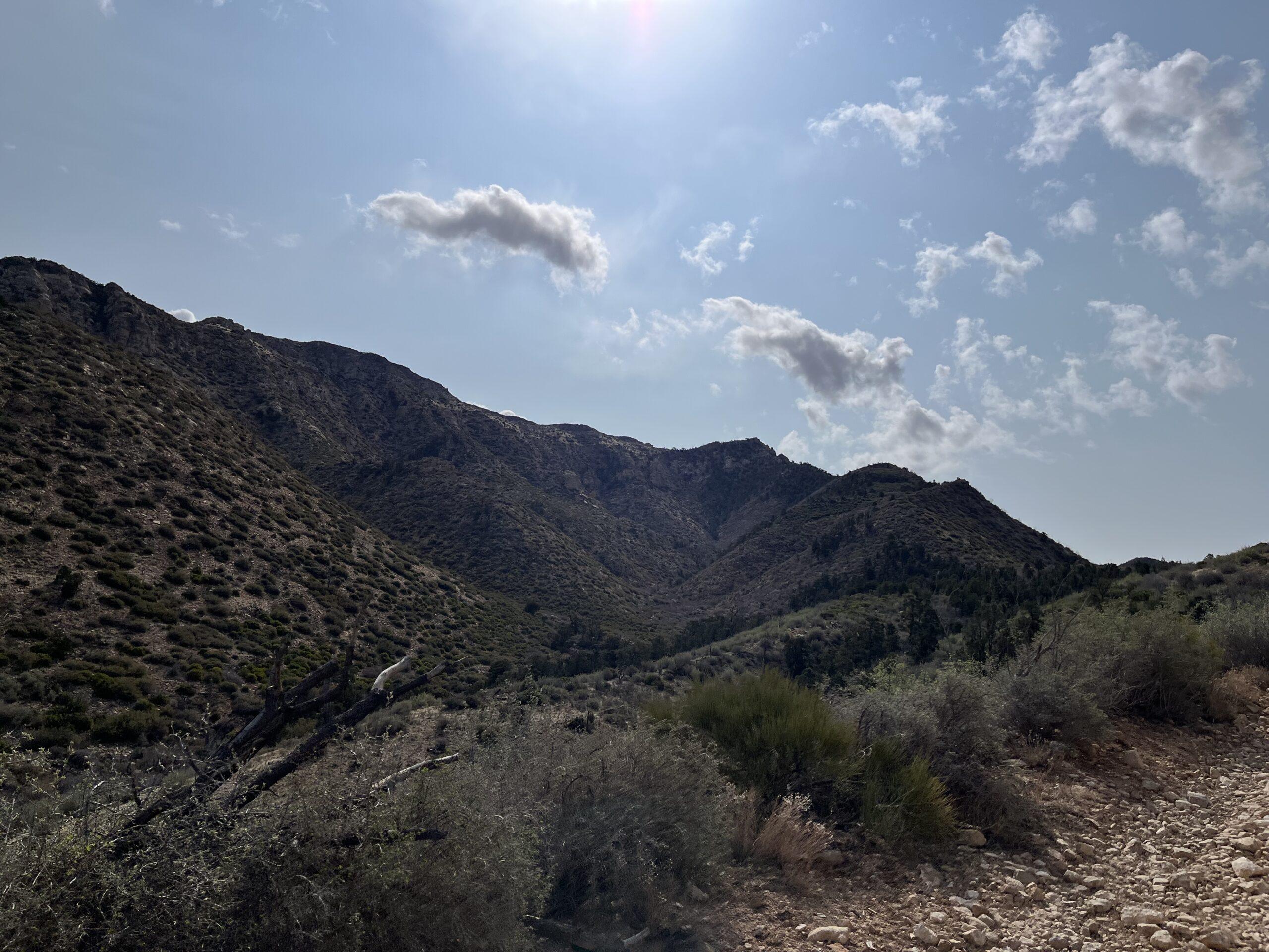 Jarvis Peak