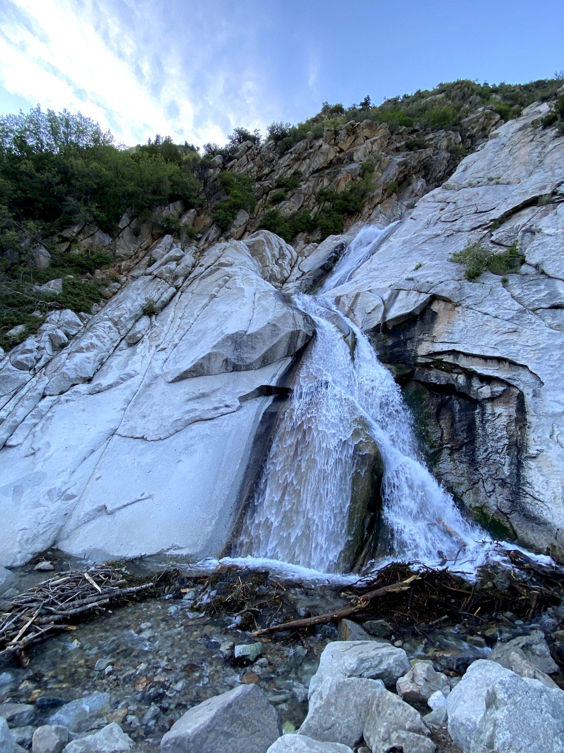 Lisa Falls