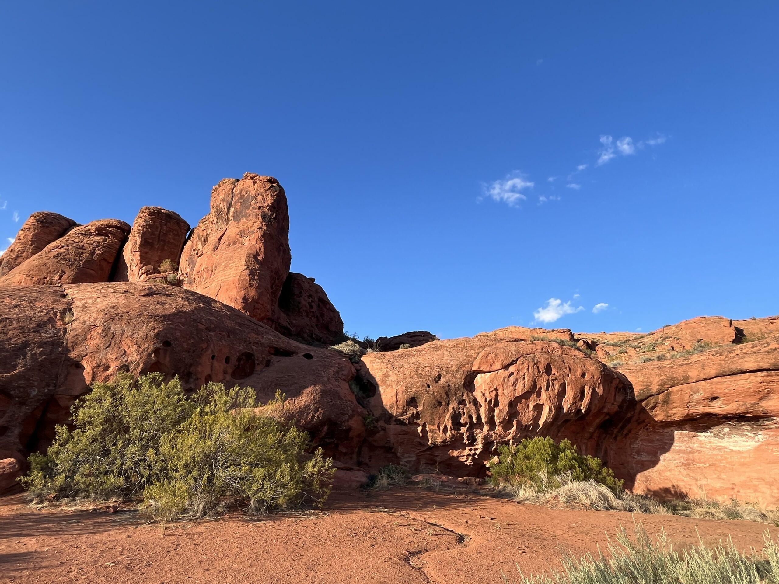 Chuckwalla