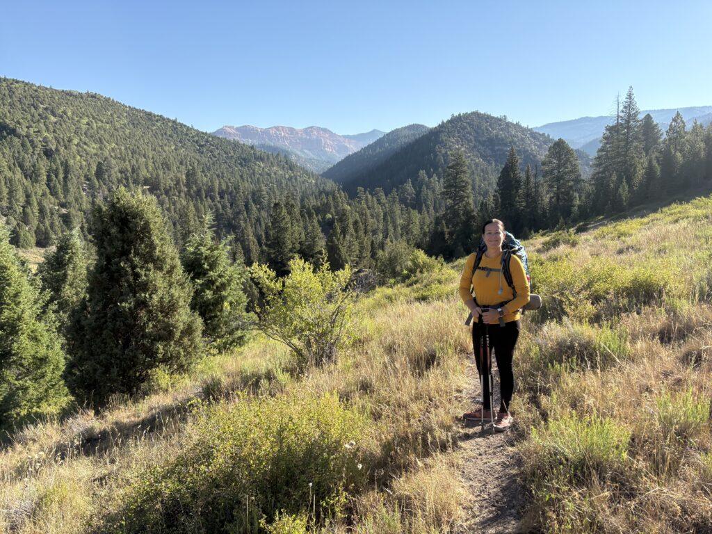 Rattlesnake Creek and Ashdown Gorge