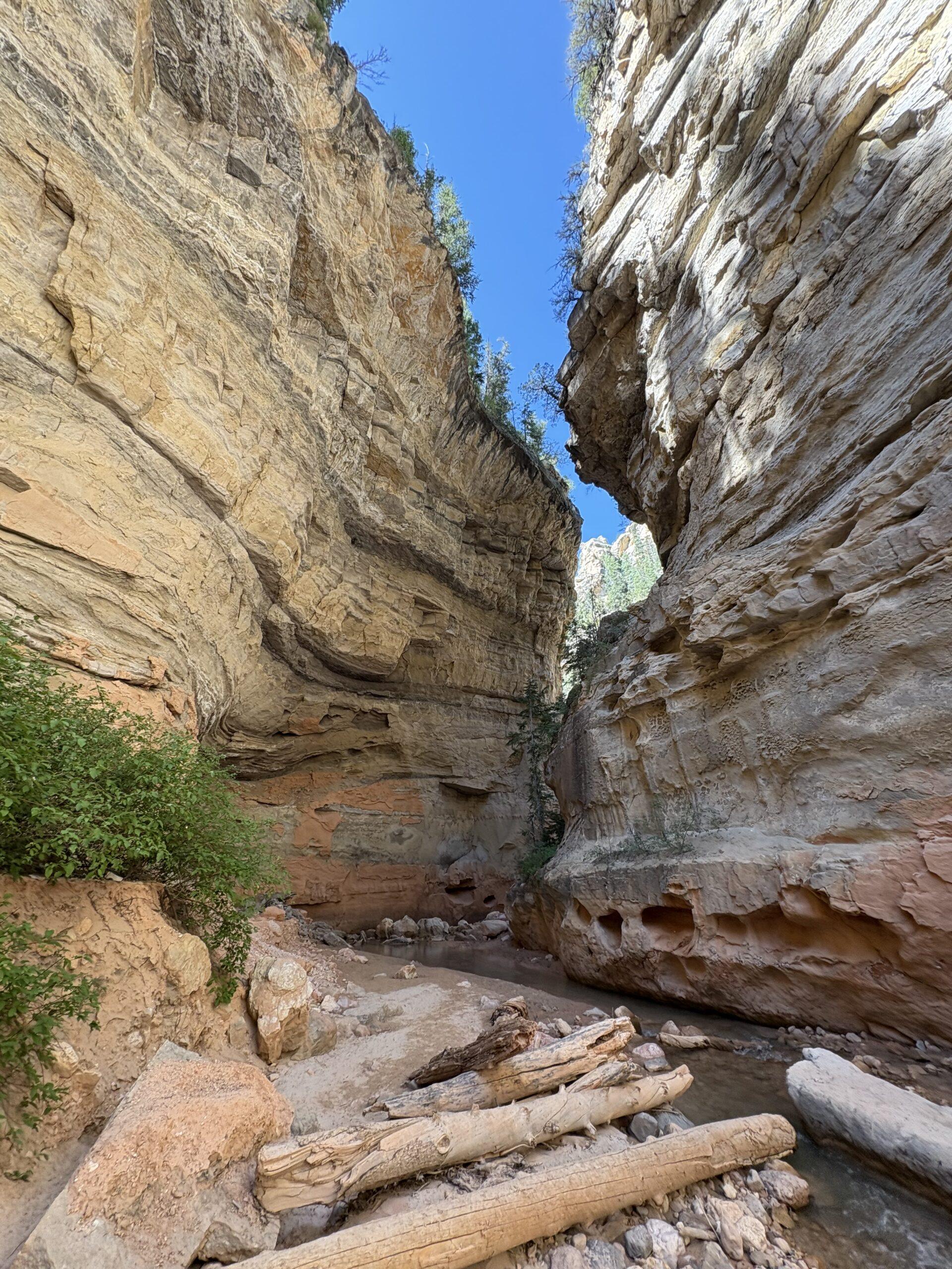 Rattlesnake Creek and Ashdown Gorge