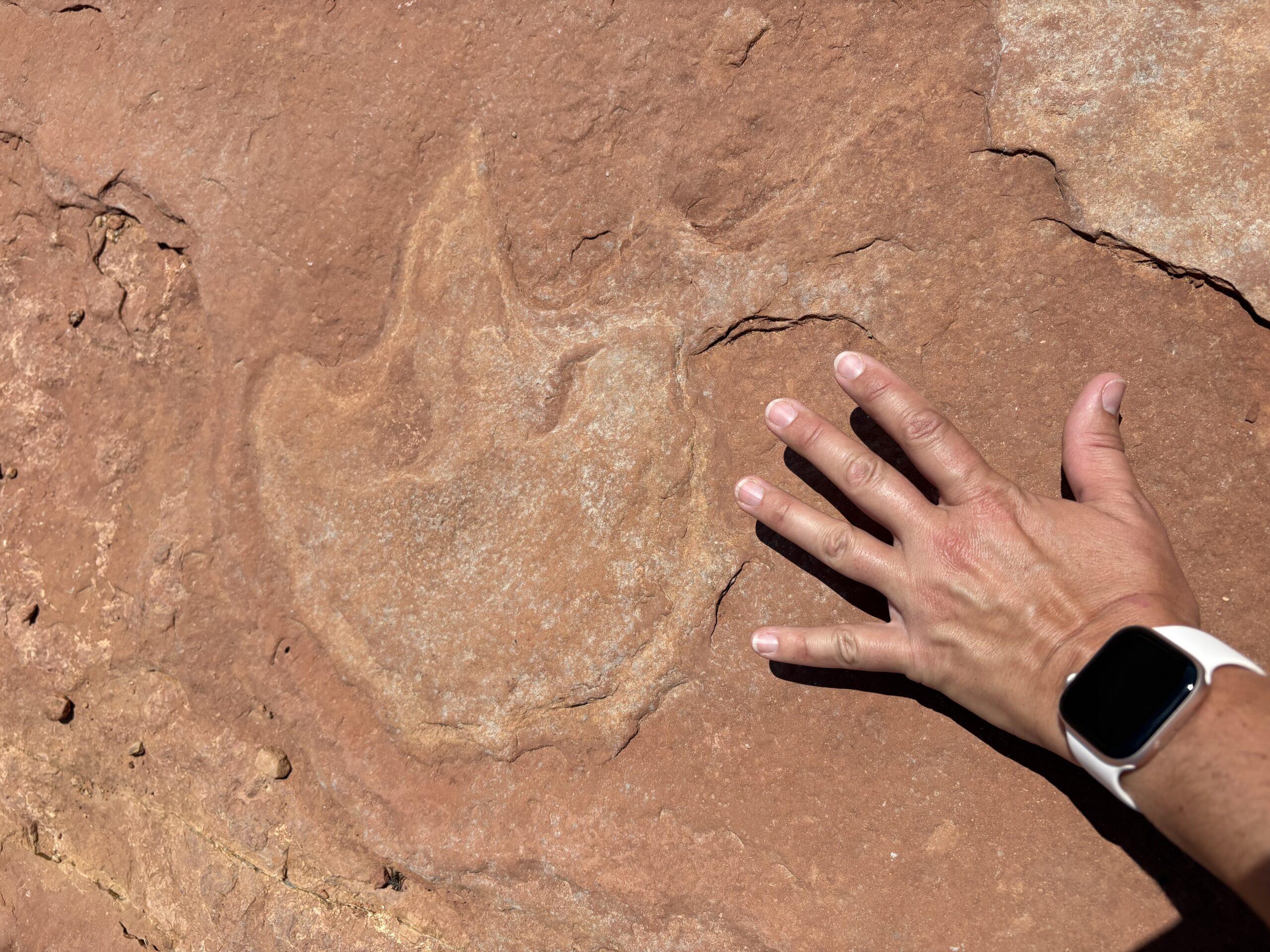 Red Fleet Dinosaur Trackway