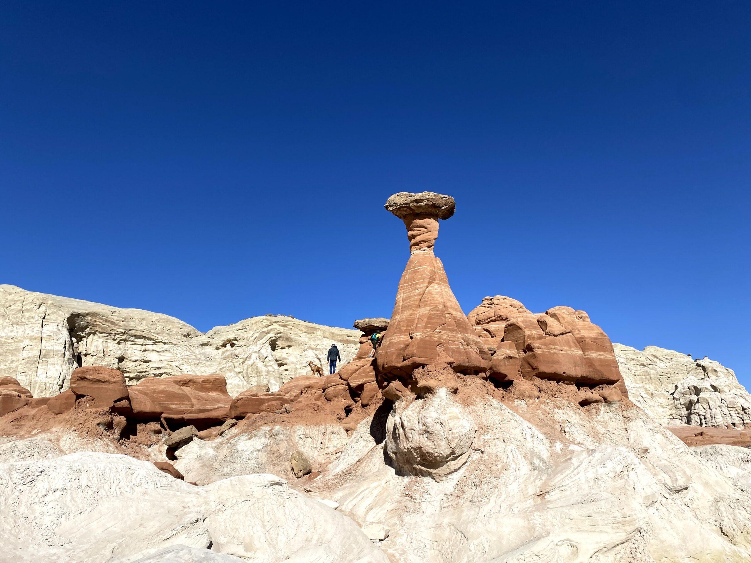 Toadstool Hoodoos