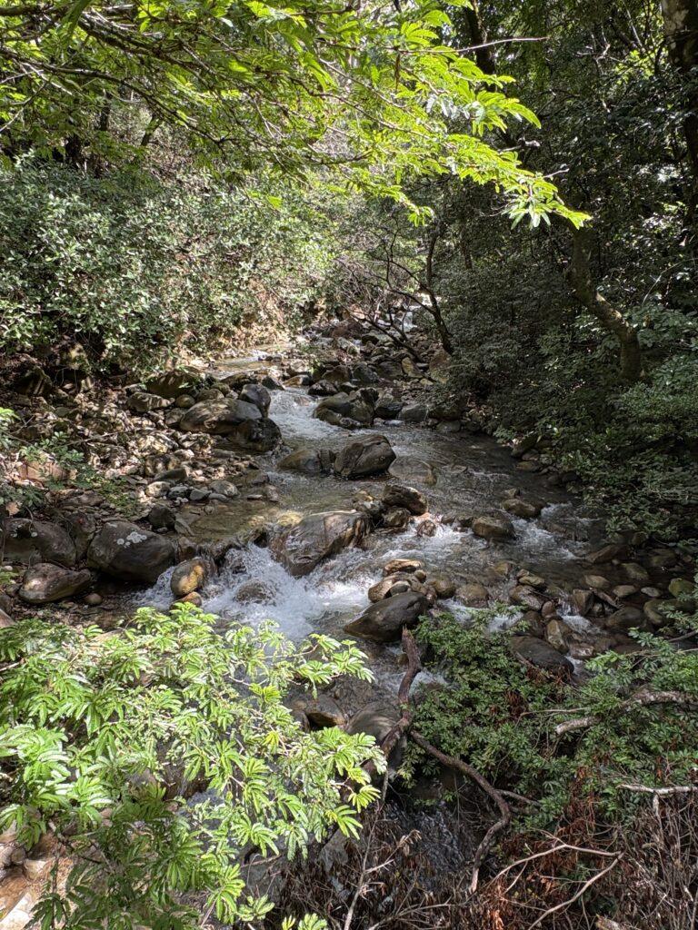 IMG_3159